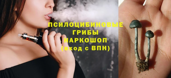 бошки Володарск