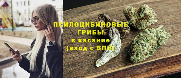 бошки Володарск