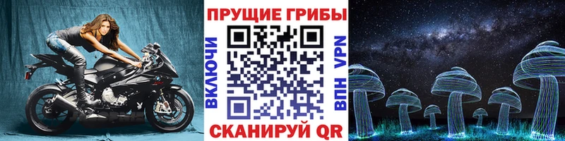 Псилоцибиновые грибы Magic Shrooms  что такое наркотик  Гаврилов Посад 